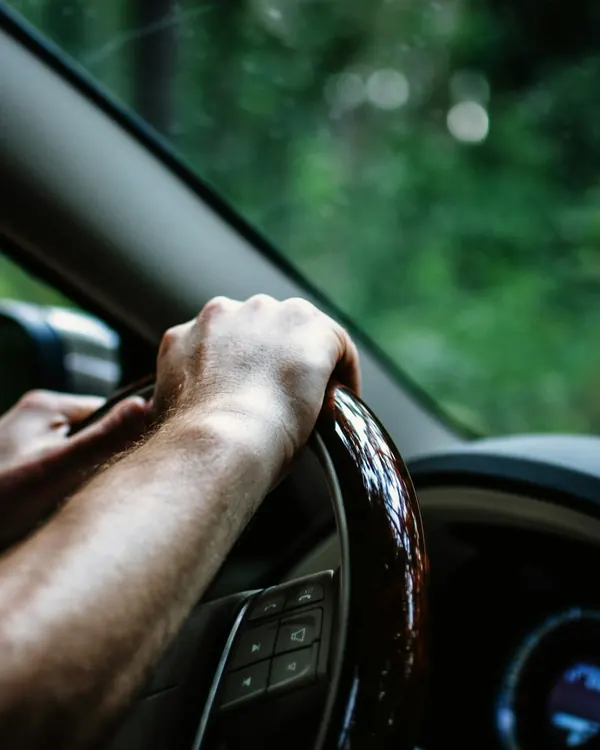 Les mains d’une conductrice sur le volant, une route bordée d’arbres derrière la vitre